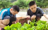원예활동