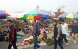 사회적응 02
