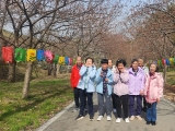 서산 봄꽃 힐링…